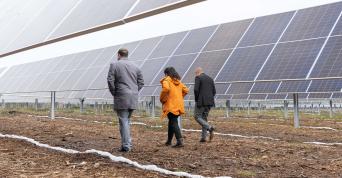 People walking next to solar panels