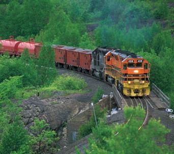 train traveling through the woods