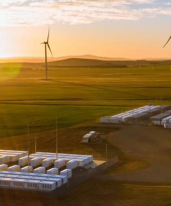 battery farm